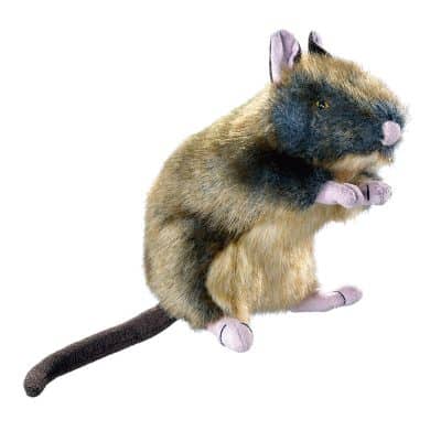 Dog Toy Wildlife Rat S - plush - 13cm/5" long
