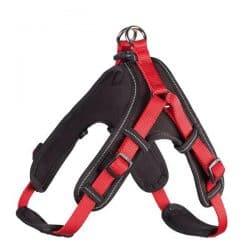 Harness Neoprene Vario Quick L – Nylon red/Neoprene black –