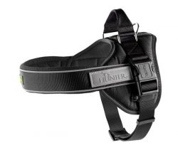 Harness Neoprene Ranger Professional XXL – black reflective/Neoprene black – adjust. Belly: 85-120cm/33.5-47.2″