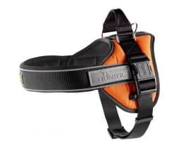 Harness Neoprene Ranger Professional M – orange reflective/Neoprene black – adjust. Belly: 49-65cm/20-25.6″