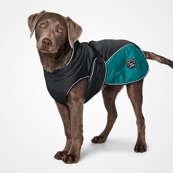 Dog Coats & Jackets