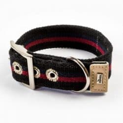 Collar New Orleans Stripes 50 – cotton strap black – 35-45cm/13.8″-17.7″