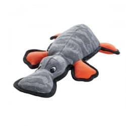 Dog toy Tough Brisbane Platypus –  – 33 cm/13″